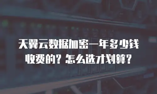 天翼云数据加密一年多少钱收费的？怎么选才划算？