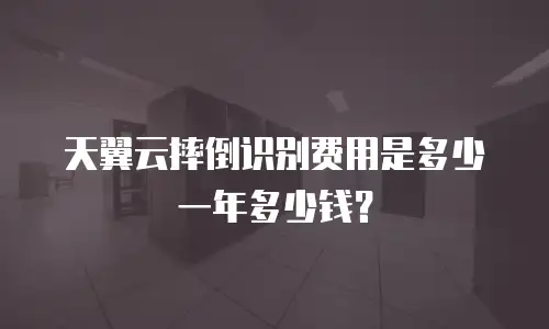 天翼云摔倒识别费用是多少一年多少钱？