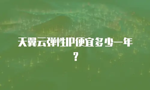 天翼云弹性IP便宜多少一年？