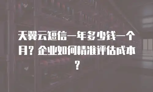 天翼云短信一年多少钱一个月？企业如何精准评估成本？