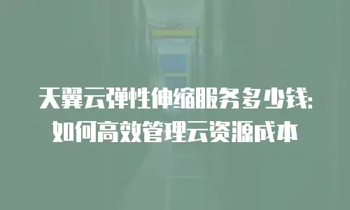 天翼云弹性伸缩服务多少钱：如何高效管理云资源成本