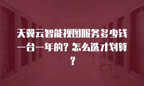 天翼云智能视图服务多少钱一台一年的？怎么选才划算？