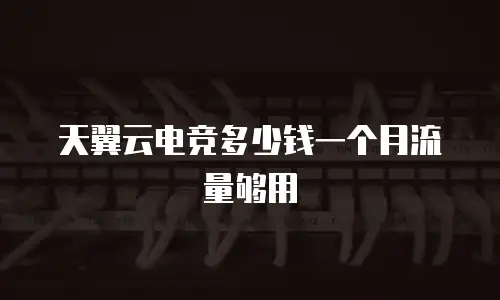 天翼云电竞多少钱一个月流量够用