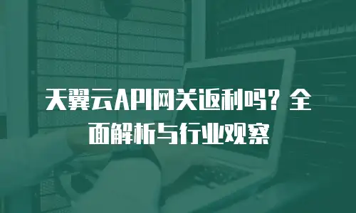 天翼云API网关返利吗？全面解析与行业观察