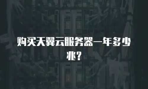 购买天翼云服务器一年多少兆？