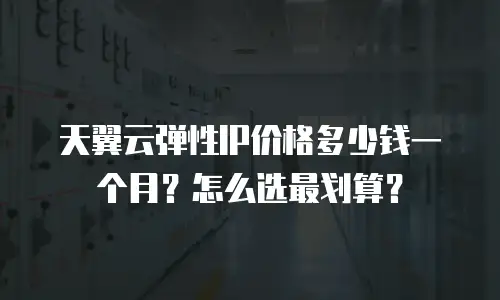 天翼云弹性IP价格多少钱一个月？怎么选最划算？