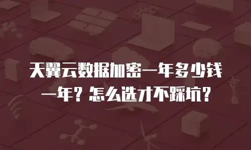 天翼云数据加密一年多少钱一年？怎么选才不踩坑？