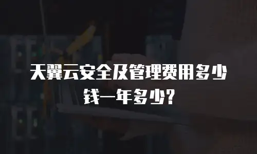 天翼云安全及管理费用多少钱一年多少？