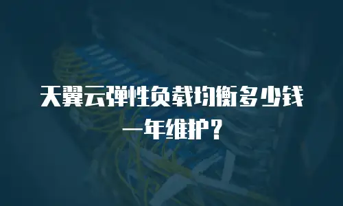 天翼云弹性负载均衡多少钱一年维护？