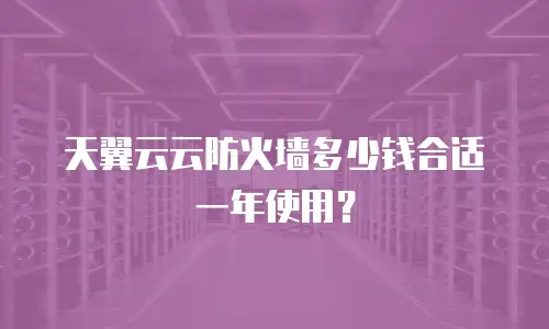 天翼云云防火墙多少钱合适一年使用？