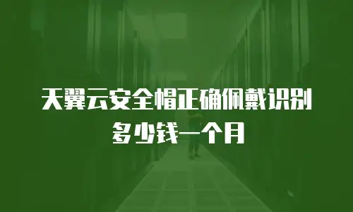 天翼云安全帽正确佩戴识别多少钱一个月