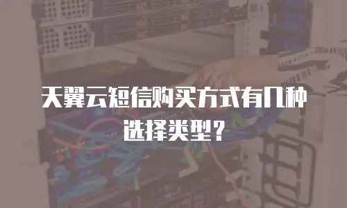 天翼云短信购买方式有几种选择类型？