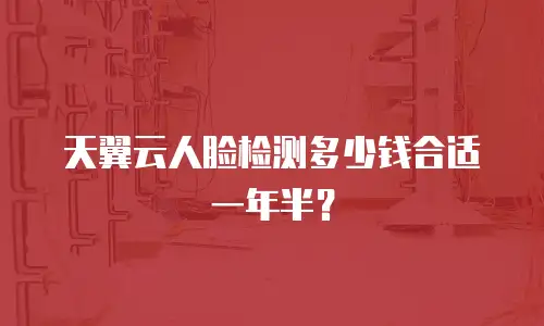 天翼云人脸检测多少钱合适一年半？