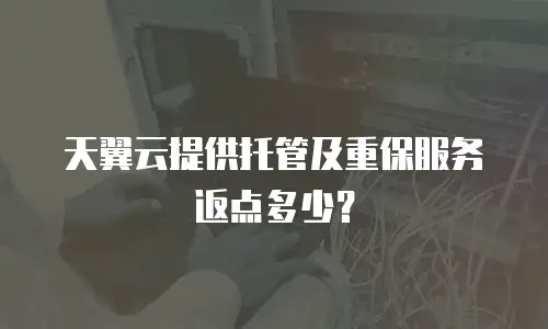 天翼云提供托管及重保服务返点多少？