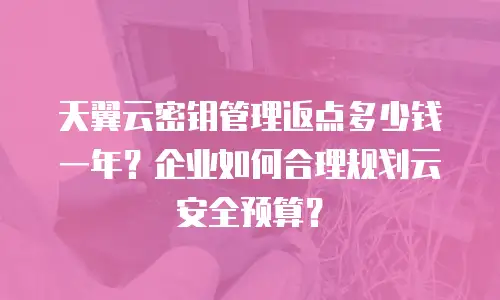 天翼云密钥管理返点多少钱一年？企业如何合理规划云安全预算？