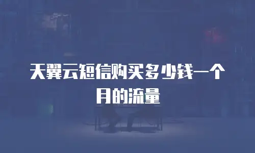 天翼云短信购买多少钱一个月的流量