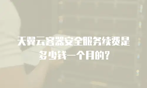 天翼云容器安全服务续费是多少钱一个月的？