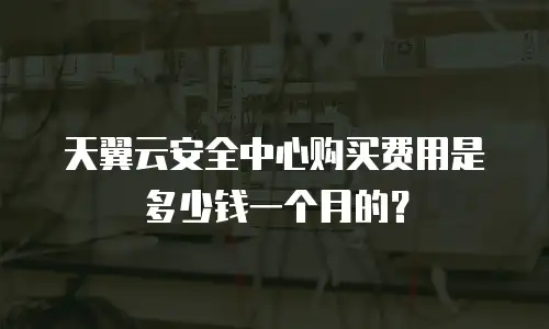 天翼云安全中心购买费用是多少钱一个月的？