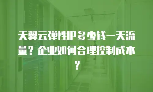 天翼云弹性IP多少钱一天流量？企业如何合理控制成本？