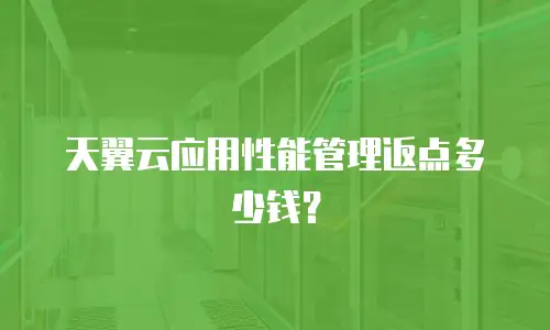 天翼云应用性能管理返点多少钱？