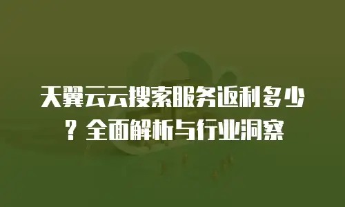 天翼云云搜索服务返利多少？全面解析与行业洞察