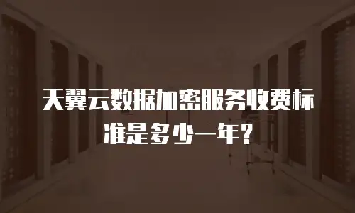 天翼云数据加密服务收费标准是多少一年？