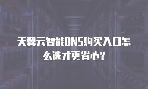 天翼云智能DNS购买入口怎么选才更省心？