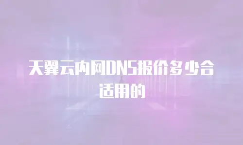 天翼云内网DNS报价多少合适用的