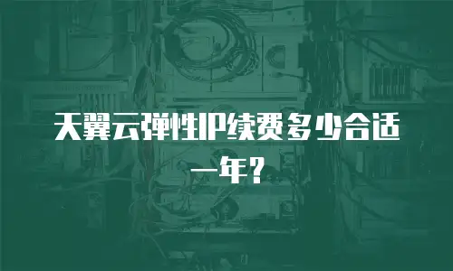 天翼云弹性IP续费多少合适一年？
