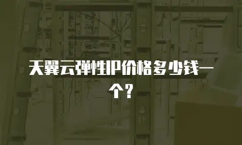 天翼云弹性IP价格多少钱一个？