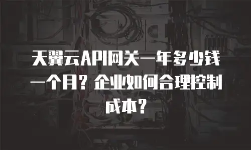 天翼云API网关一年多少钱一个月？企业如何合理控制成本？