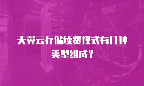 天翼云存储续费模式有几种类型组成？