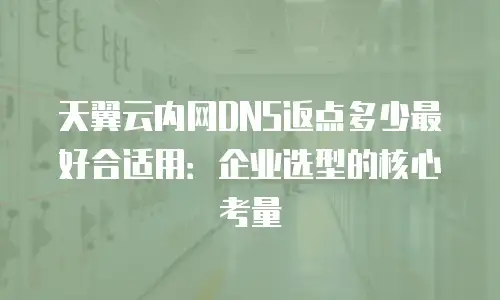 天翼云内网DNS返点多少最好合适用：企业选型的核心考量