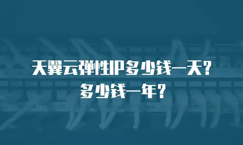 天翼云弹性IP多少钱一天？多少钱一年？