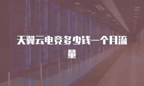 天翼云电竞多少钱一个月流量