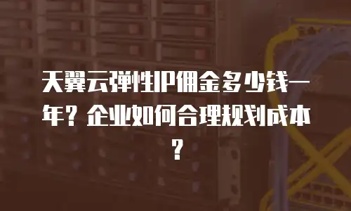 天翼云弹性IP佣金多少钱一年？企业如何合理规划成本？