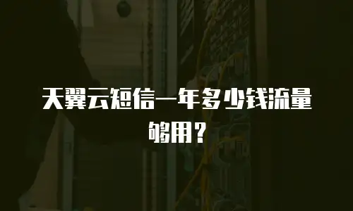 天翼云短信一年多少钱流量够用？