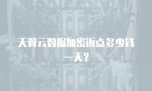天翼云数据加密返点多少钱一天？