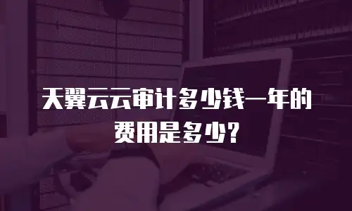 天翼云云审计多少钱一年的费用是多少？