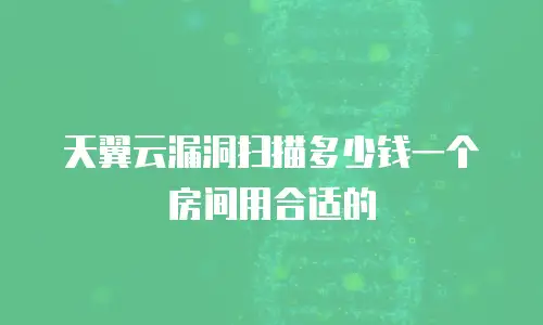 天翼云漏洞扫描多少钱一个房间用合适的
