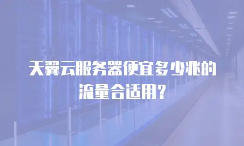 天翼云服务器便宜多少兆的流量合适用？