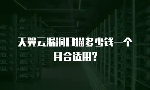 天翼云漏洞扫描多少钱一个月合适用？