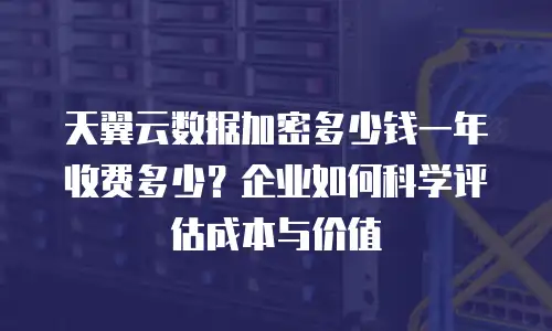 天翼云数据加密多少钱一年收费多少？企业如何科学评估成本与价值