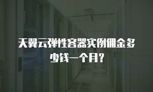 天翼云弹性容器实例佣金多少钱一个月？