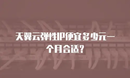 天翼云弹性IP便宜多少元一个月合适？