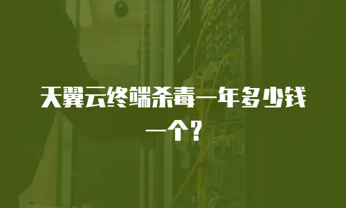 天翼云终端杀毒一年多少钱一个？
