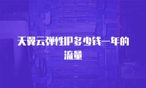 天翼云弹性IP多少钱一年的流量