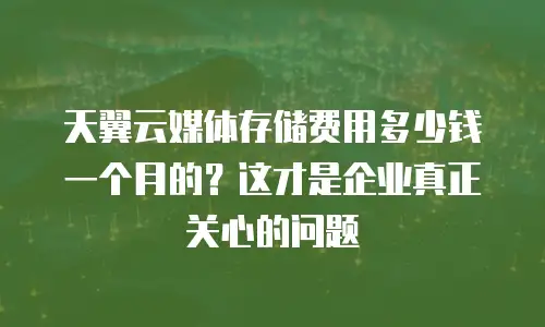 天翼云媒体存储费用多少钱一个月的？这才是企业真正关心的问题