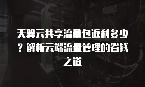 天翼云共享流量包返利多少？解析云端流量管理的省钱之道