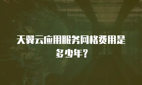 天翼云应用服务网格费用是多少年？